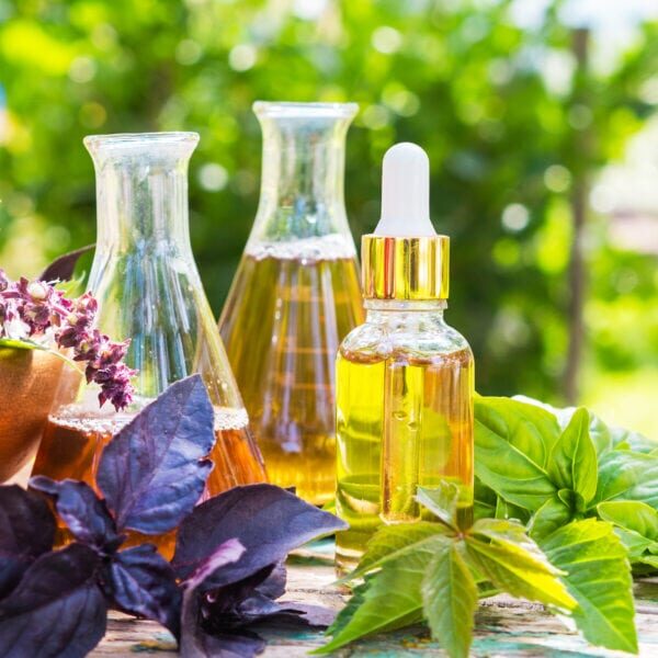 Oil for skin care, massage from natural ingredients, herbs, mint in glass jars and test tubes on a green background in the garden on the nature, natural cosmetics